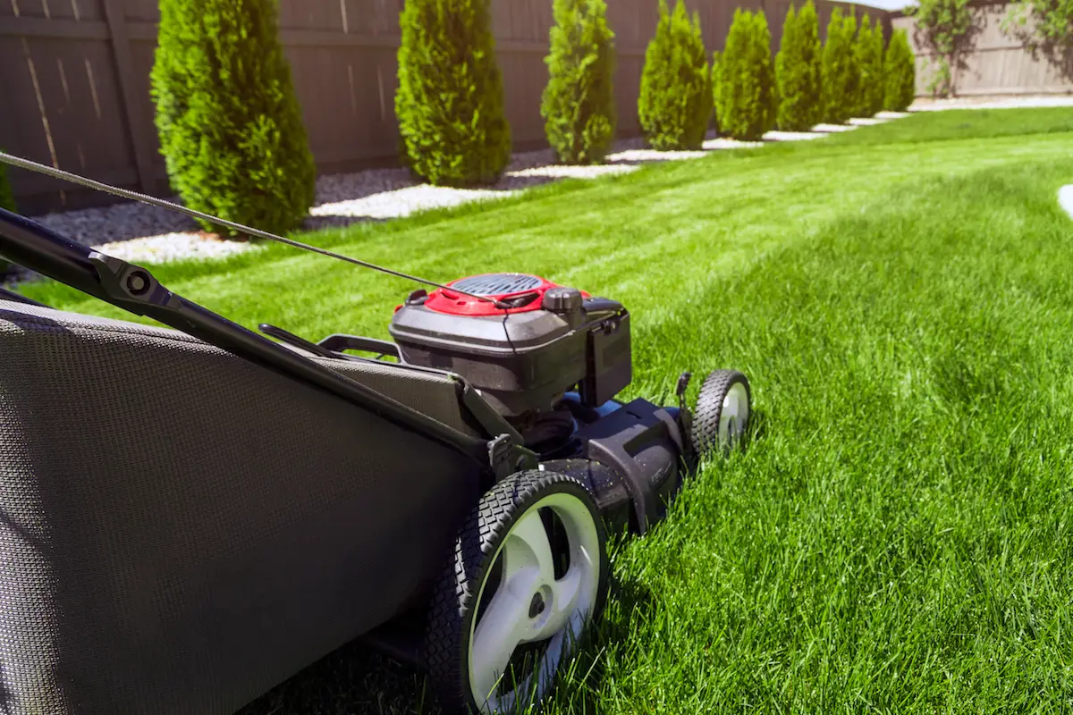 Where Are The Best Places To Buy A Lawn Mower