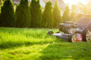 lawn mower cutting tall grass