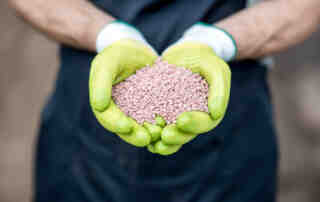 lawn food or fertilizer