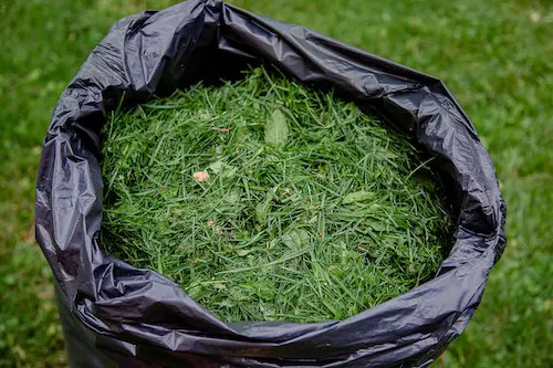 grass clippings diy fertilizer