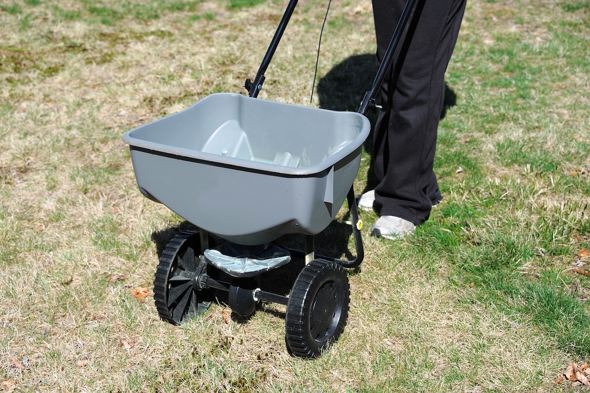 how to apply lawn fertilizer