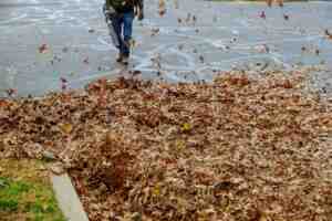 What Happens Leaf Blower Gets Wet