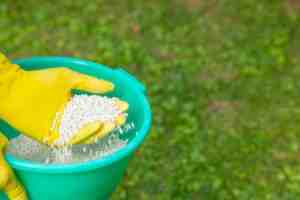 9 Natural Solutions for Lawn and Garden Pests
