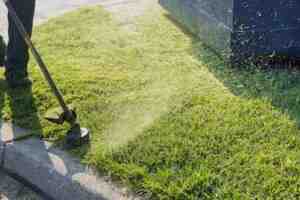 Ways Lawn Edging Turns Your Yard Into A Masterpiece lawn tips