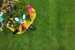 Natural Solutions for Lawn and Garden Pests