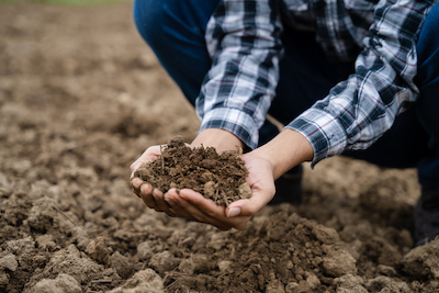 Fertilizer and Soil Microorganisms