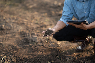 Microorganisms in Soil