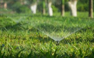 Mastering Lawn Irrigation