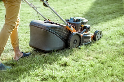 Lawn Care Tool