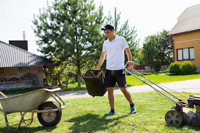 Summer Lawn Care