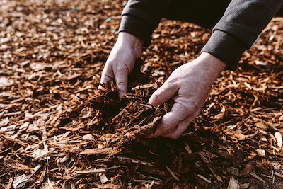 Garden Bed Prep