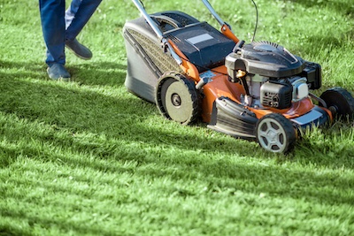 Tips for Trimming Your Lawn