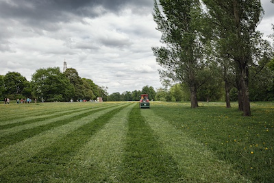 Tips for Trimming Your Lawn