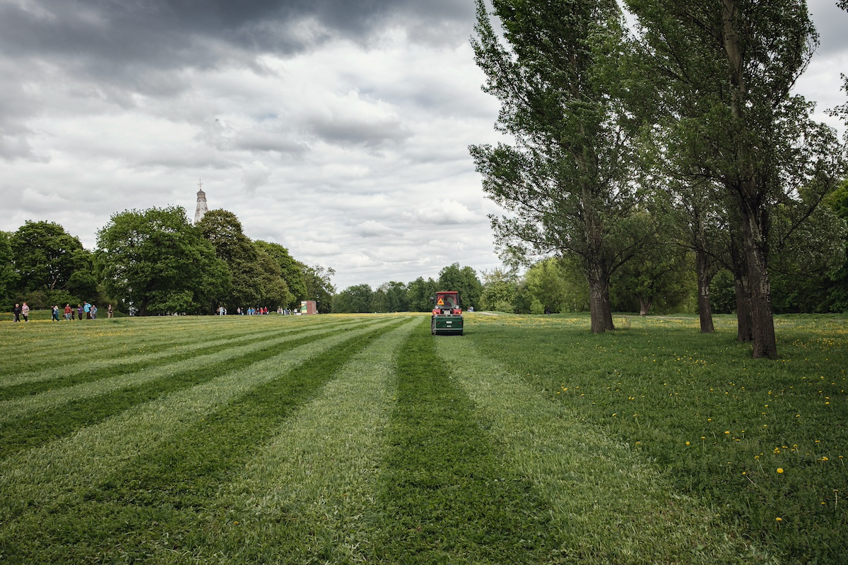 Tips for Trimming Your Lawn