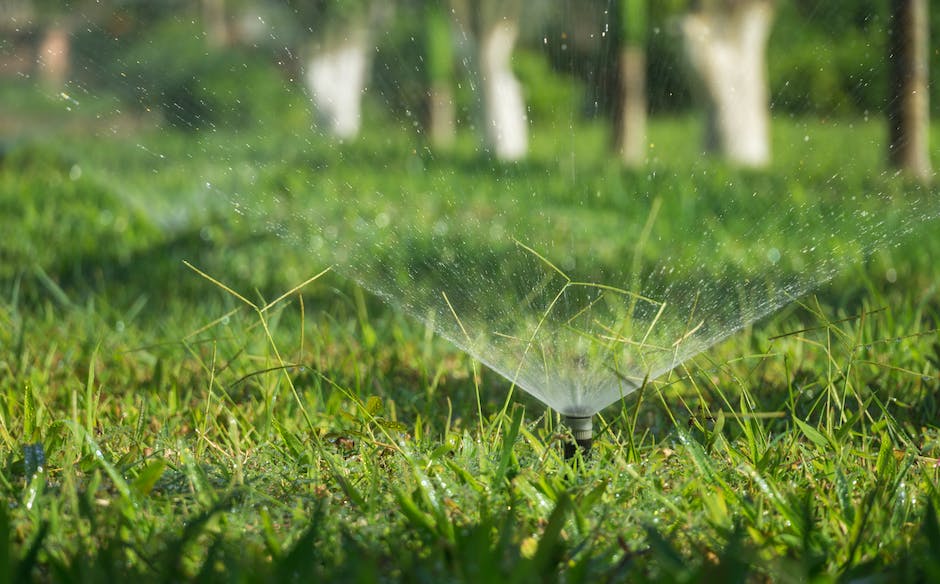 Seasonal Lawn Care Essentials