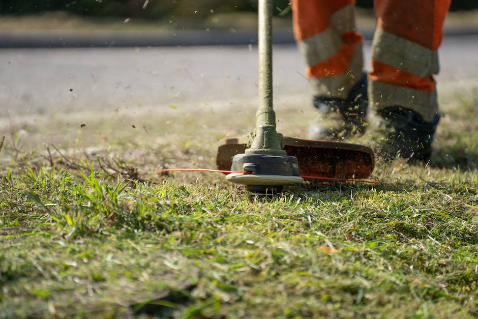 thatch removal tips and techniques